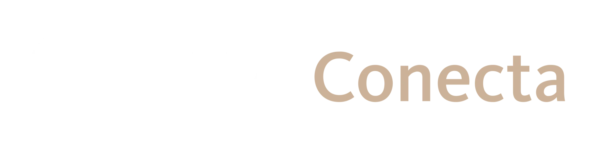 BNA Conecta